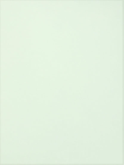 Colorplan Powder Green Cardstock