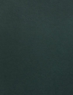 Racing Green | Colorplan Cardstock – Cardstock Warehouse