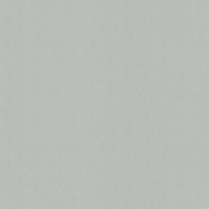 Real Grey Colorplan Cardstock