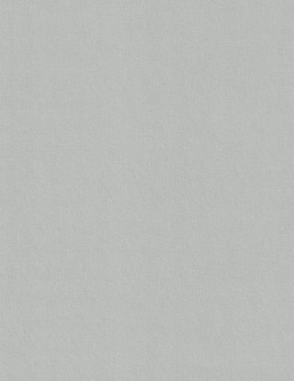 Colorplan Real Grey Cardstock