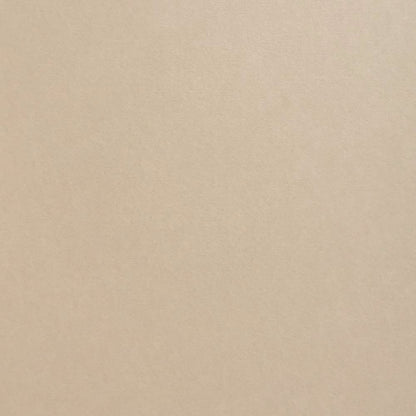 Stone Colorplan Cardstock