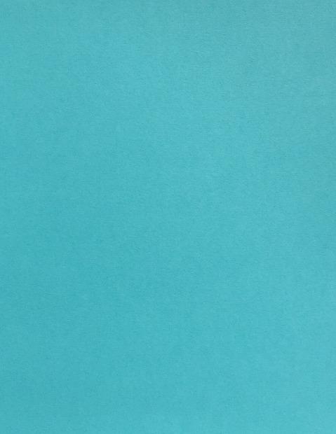 Colorplan Turquoise Cardstock