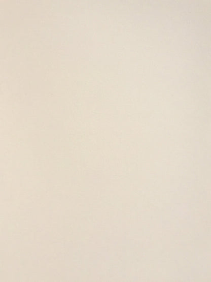 Colorplan Vellum White Cardstock