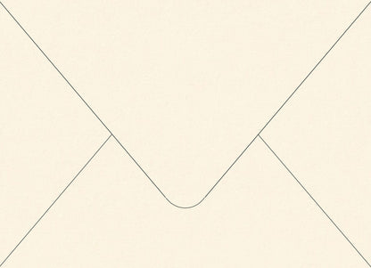 Colorplan China White Envelope