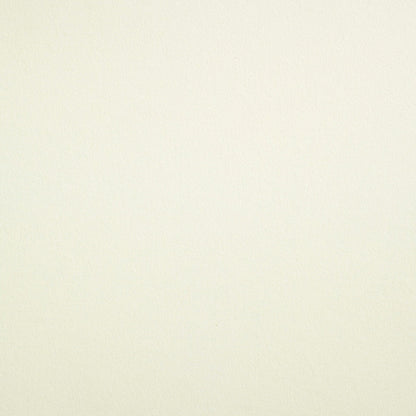 Limestone Materica Cardstock