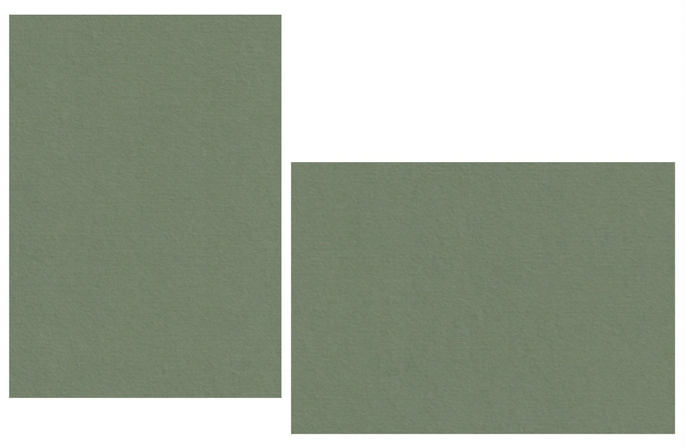 Mid-Green Flat Panel Cards | Colorplan Cardstock