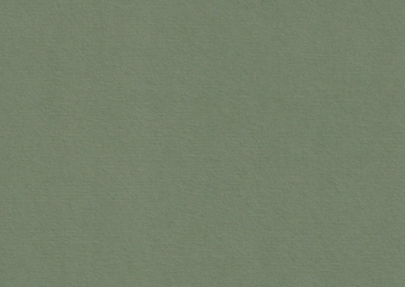 Colorplan Mid Green Flat Place Cards