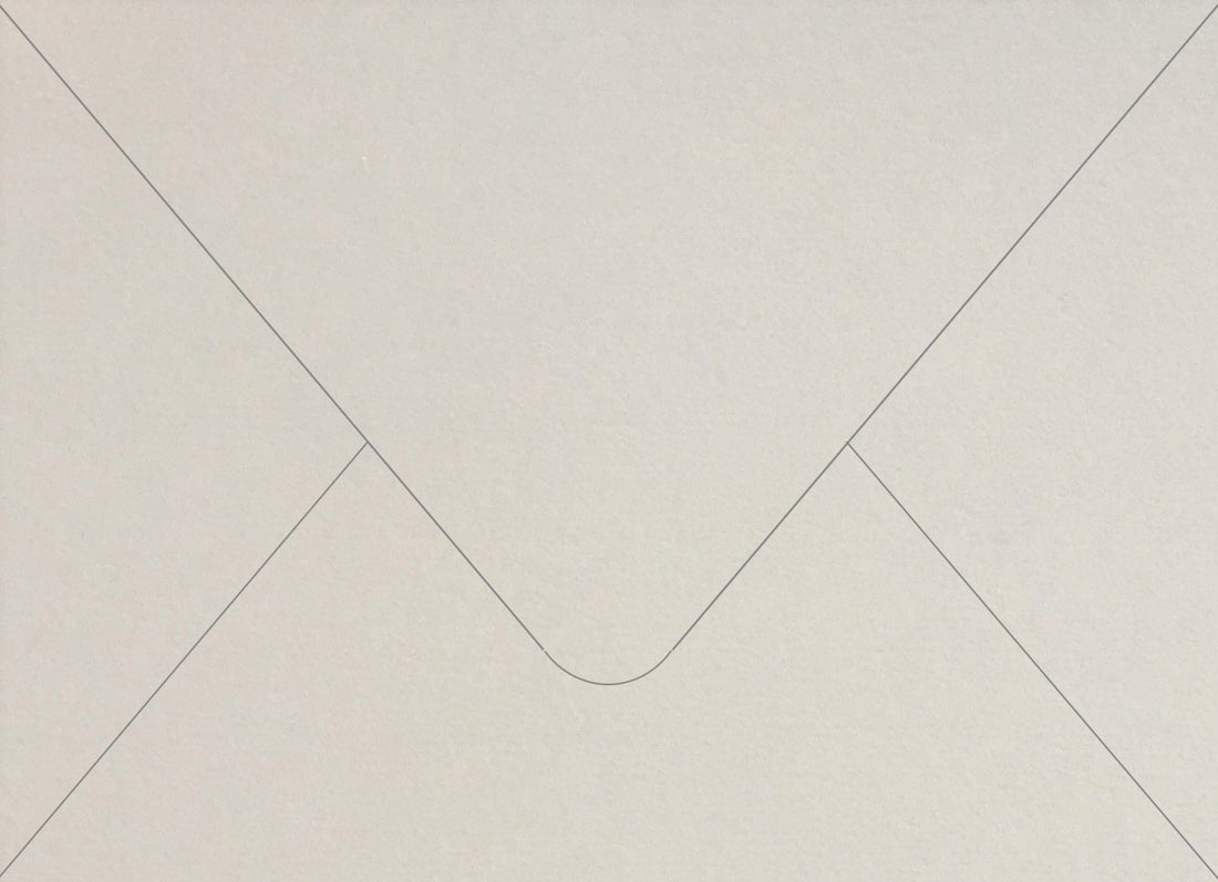 Pale Grey Colorplan Euro Envelopes