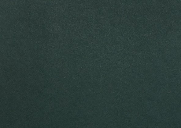 Colorplan Racing Green Flat Place Cards