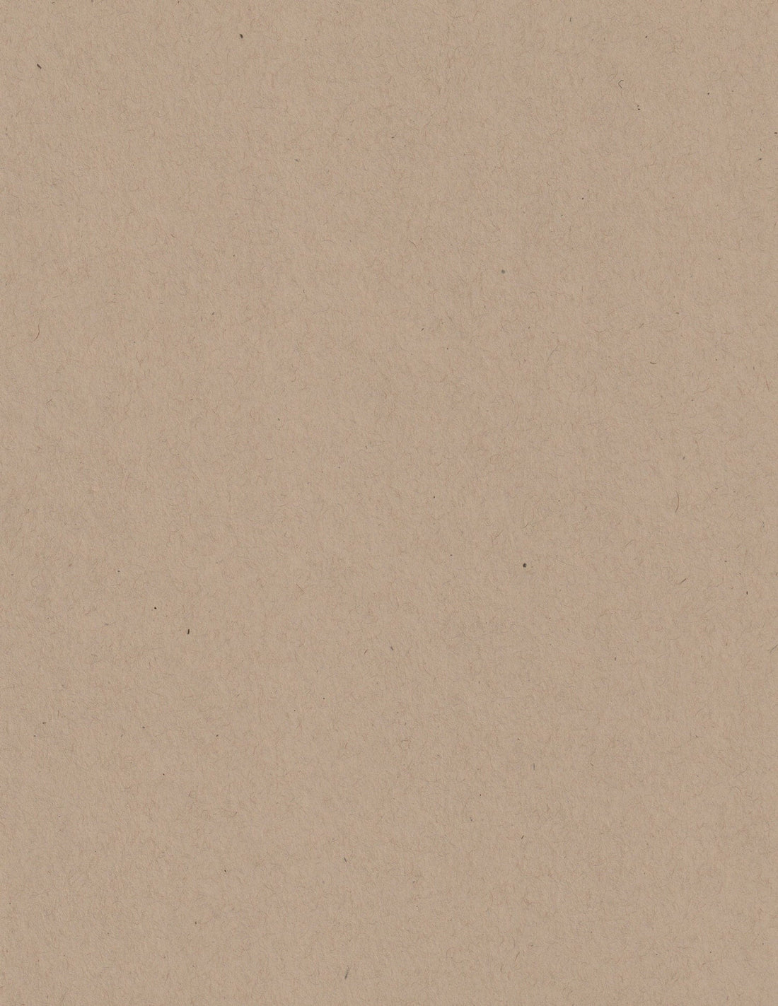 Kraft Speckletone 8.5x11