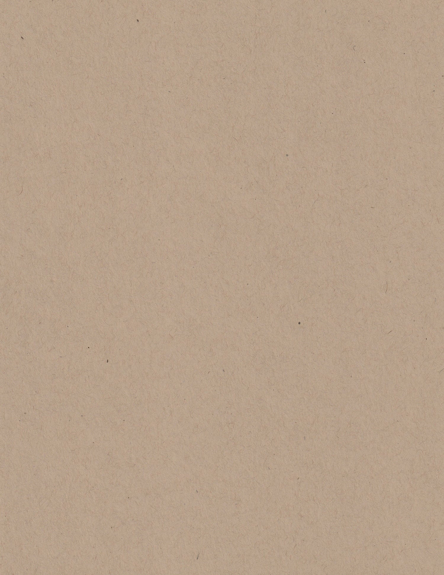 Kraft Speckletone 8.5x11