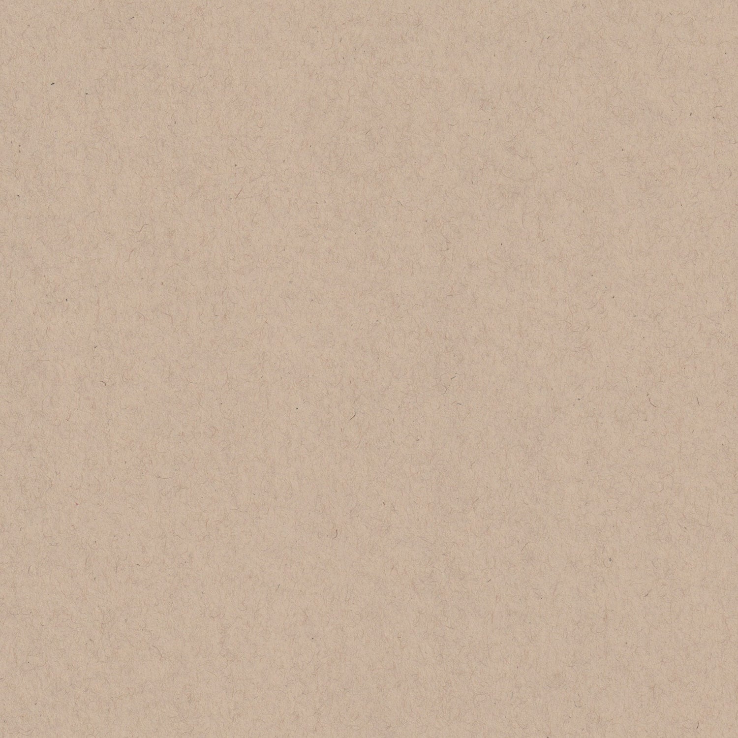 Oatmeal Speckletone 12x12