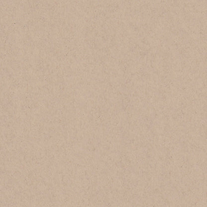 Oatmeal Speckletone 12x12