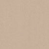 Oatmeal Speckletone 12x12