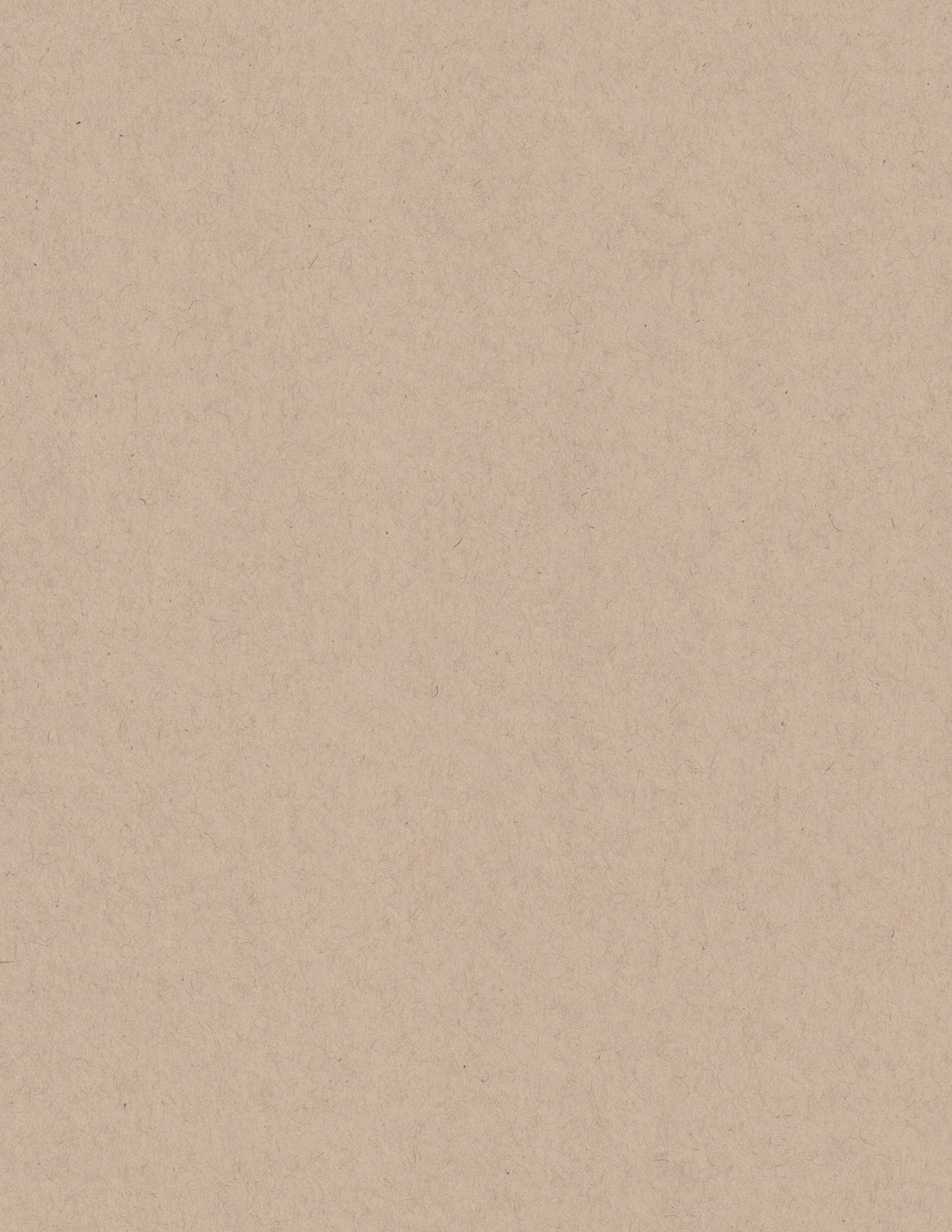 Oatmeal Speckletone 8.5x11