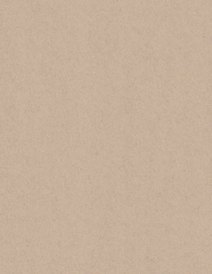 Oatmeal Speckletone 8.5x11