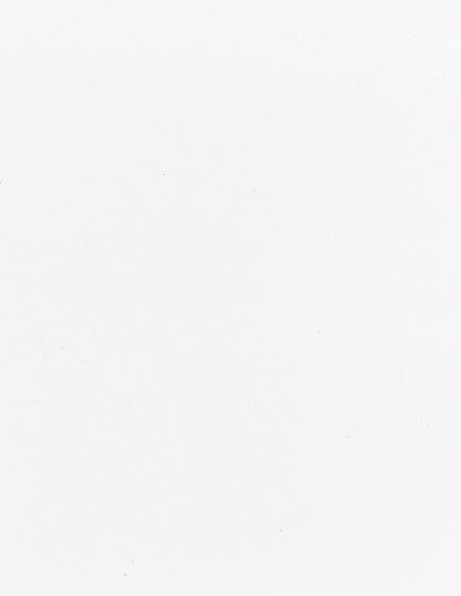 Starch White Speckletone Cardstock