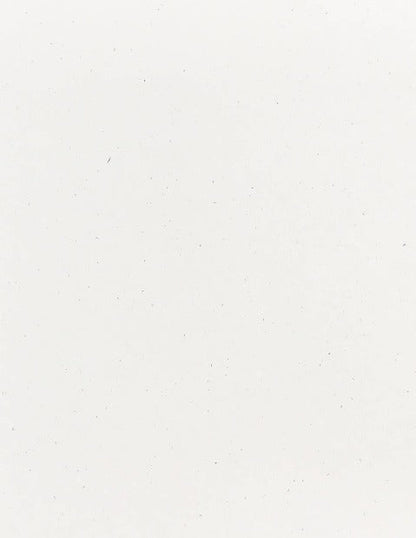 Speckletone Samples-Cardstock Warehouse