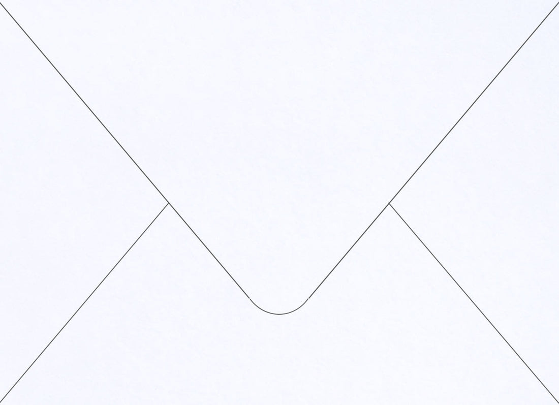 White Frost Colorplan Euro Envelopes