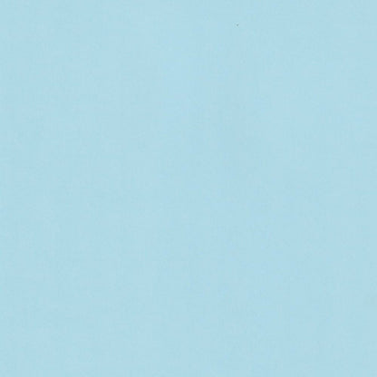 Celeste Sirio | Light Blue Colored Cardstock Paper