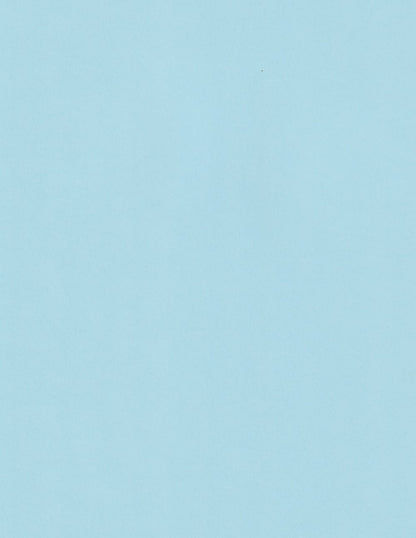 Celeste Sirio | Light Blue Colored Cardstock Paper