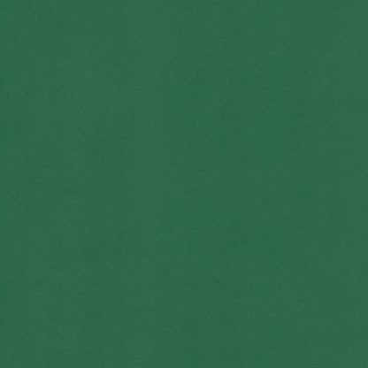 Lesseobo Evergreen (Christmas) Cardstock 12 x 12