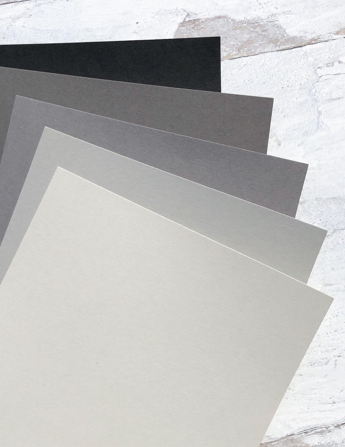 Grayscale Cardstock Collection Fan