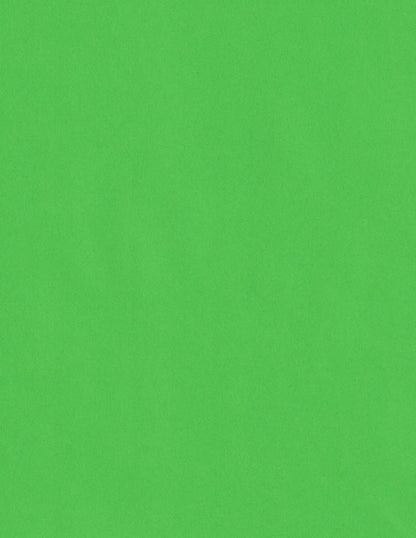 Cardstock Warehouse Lessebo Kelly Green - 8.5 x 11 inch 100 lb. Premium Matte Cardstock - 25 Sheets Cardstock Warehouse Lessebo Kelly Green - 8.5 x 11 inch 100 lb. Premium Matte Cardstock - 25 Sheets