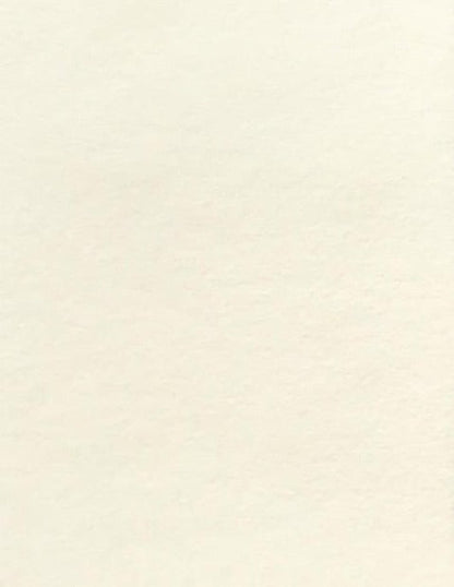 Natural Pergamenata Parchment Cardstock Paper