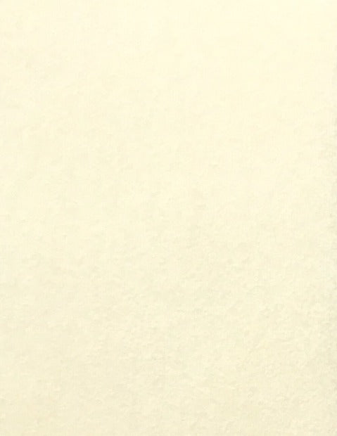 Pergamenata Parchment Natural