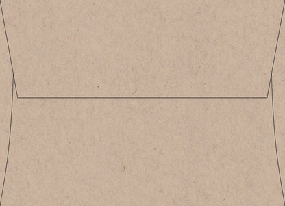 Oatmeal Speckletone envelope