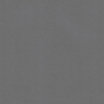 Pietra Sirio | Gray Colored Cardstock Paper