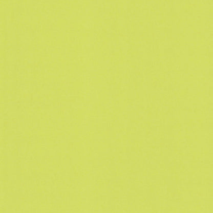 Pistacchio | Woodstock Cardstock Paper