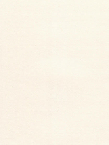 Colorplan Vellum White Cardstock