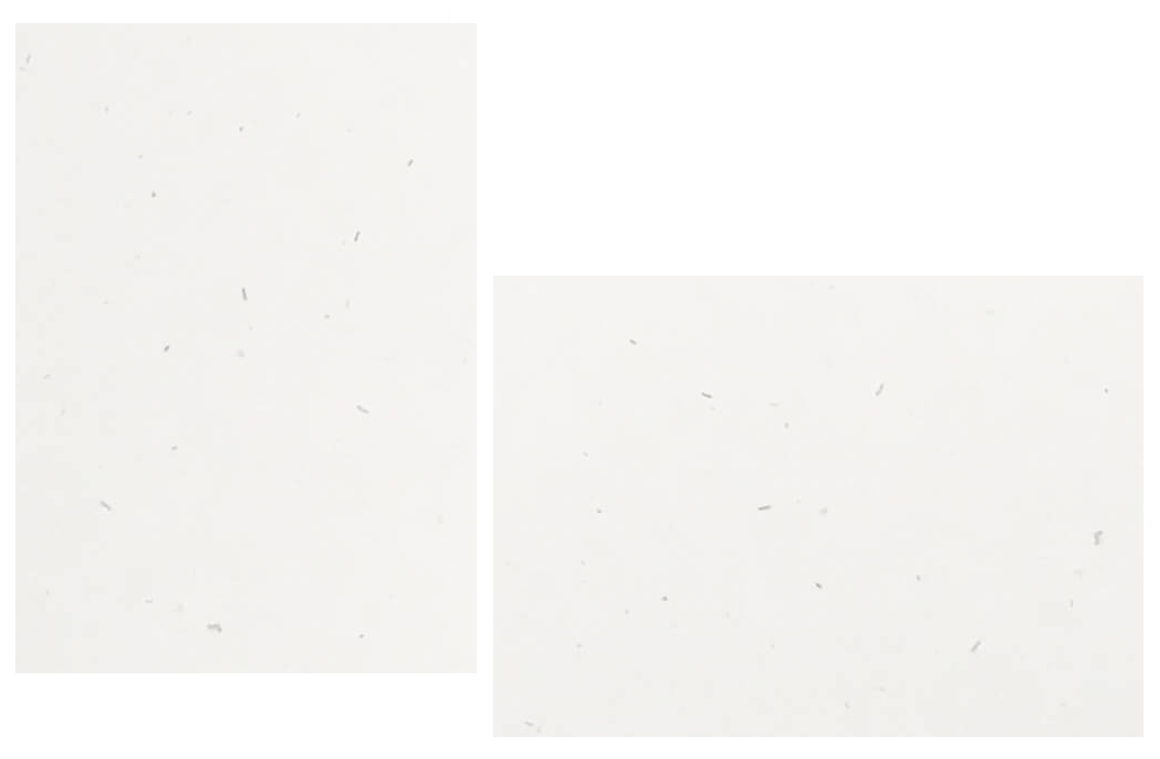 Speckletone True White Flat Cards