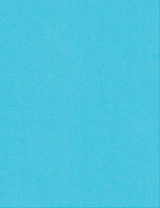  Cardstock Warehouse Lessebo Salt Water (Previously Pale Blue)  - 8.5 x 11 - 100 Lb. / 270 Gsm Matte Premium Cardstock Paper - 25 Sheets :  Arts, Crafts & Sewing