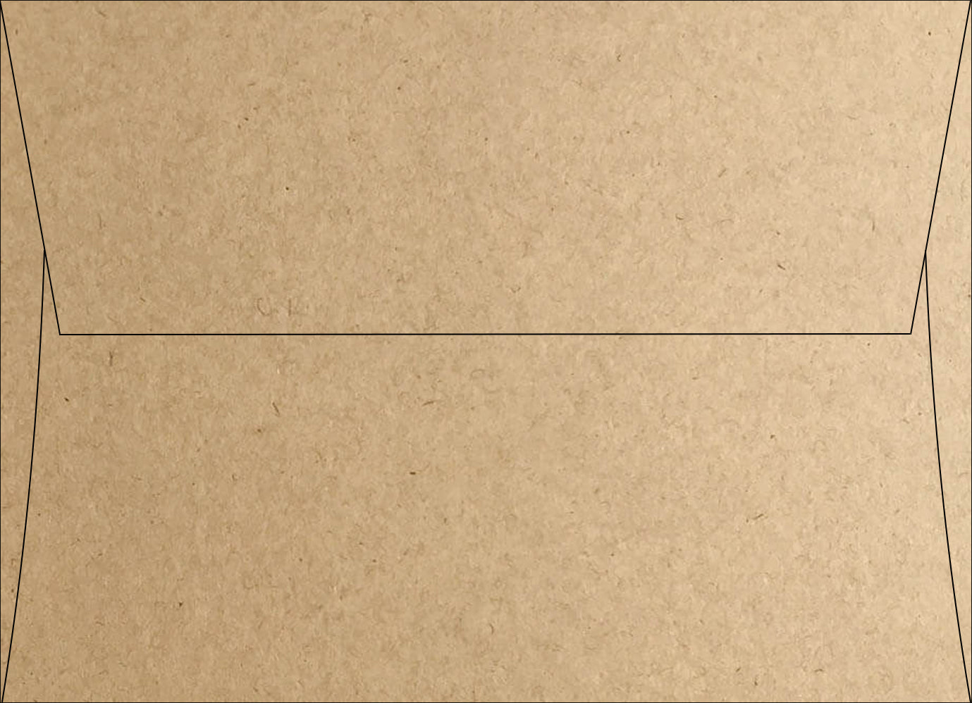 Kraft Envelope Samples