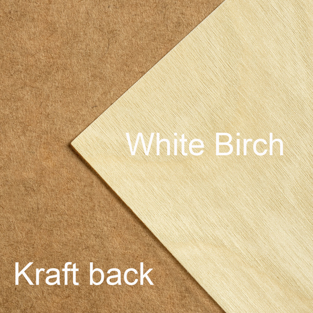 White Birch Wood Veneer | Timberluxe w kraft back