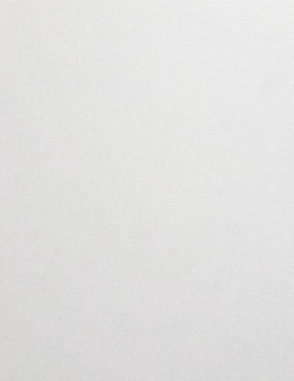Barely Gray Cardstock  | Solid-Core Recycled