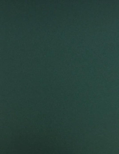 Timber Green Cardstock  | Solid-Core Recycled