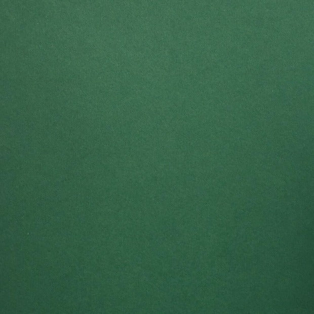 Forest Green Colorplan Cardstock
