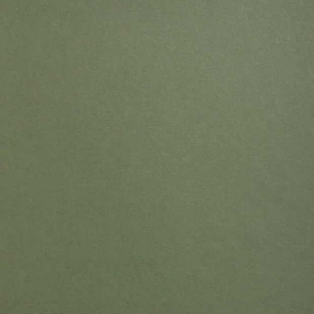 Mid Green Colorplan Cardstock