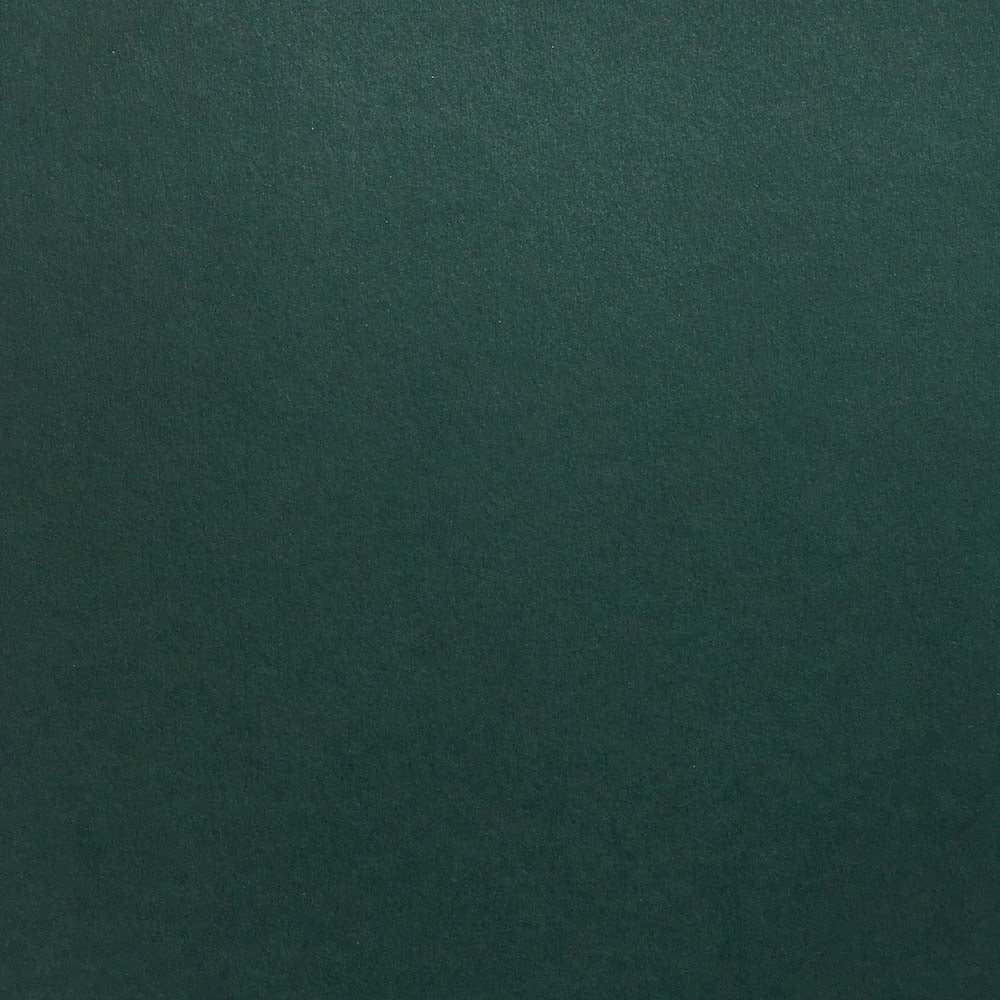 Cardstock Warehouse Colorplan Racing Green Dark Matte Premium Cardstock Paper - 8.5 x 11 - 100 lb. / 270 GSM - 25 Sheets