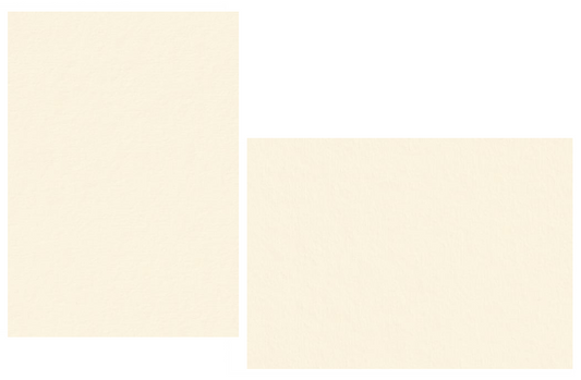 China White Flat Panel Cards | Colorplan Cardstock