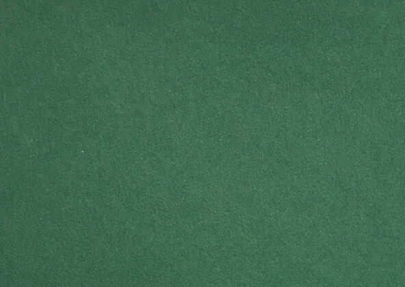 Colorplan Forest Green Flat Place Cards