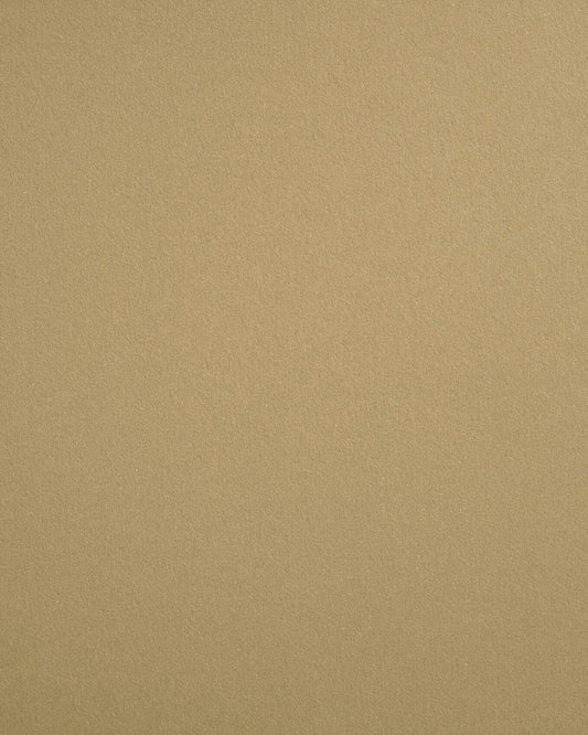 Speckletone Starch White Tri Fold Card – Cardstock Warehouse