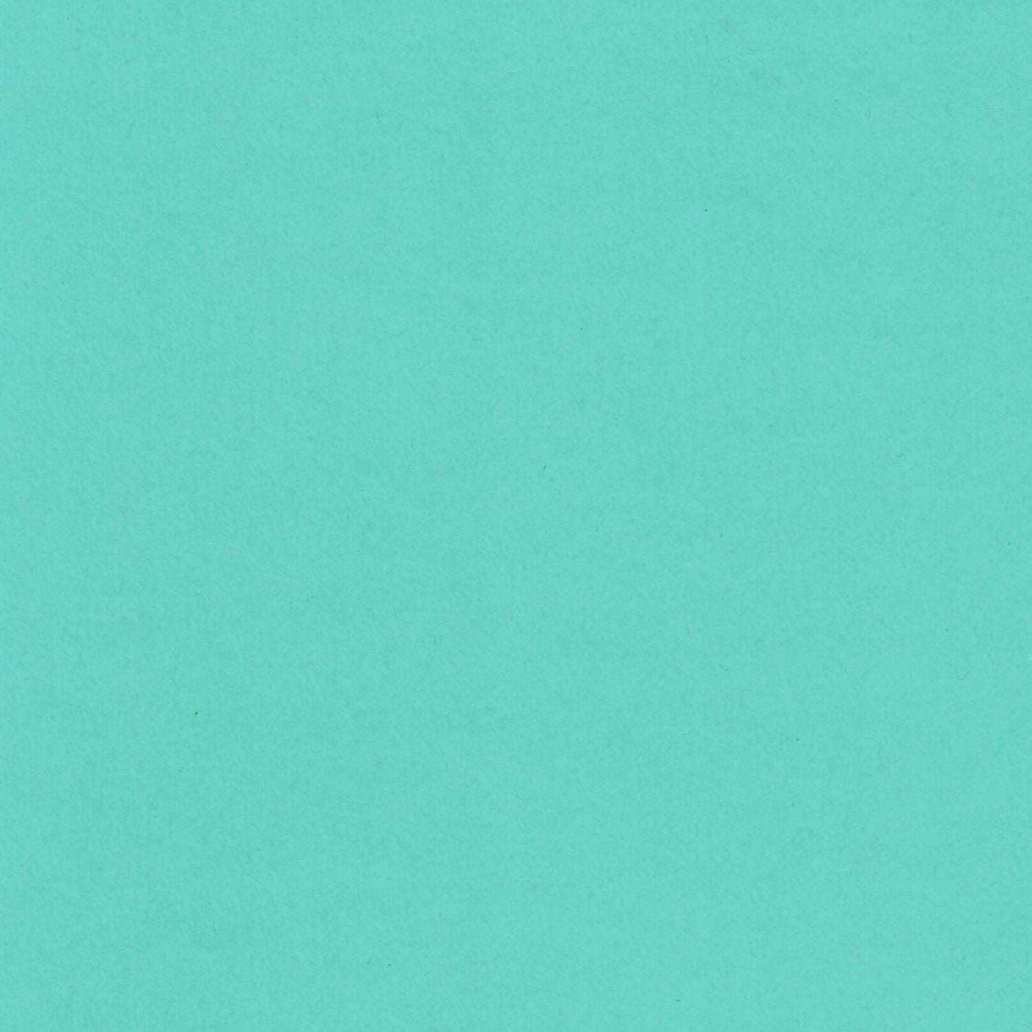 Blu Raspberry-Cardstock Warehouse