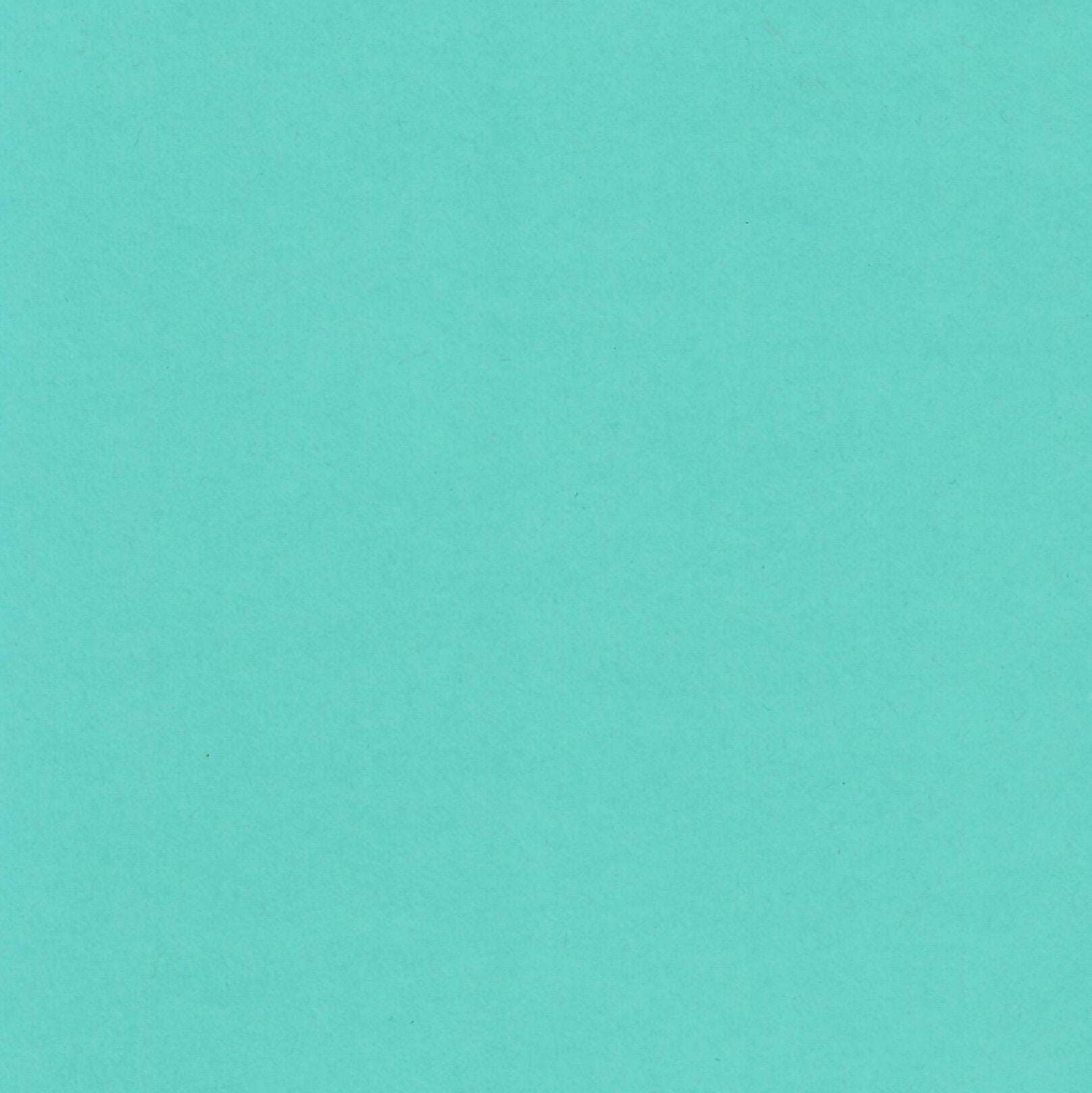 Blu Raspberry-Cardstock Warehouse