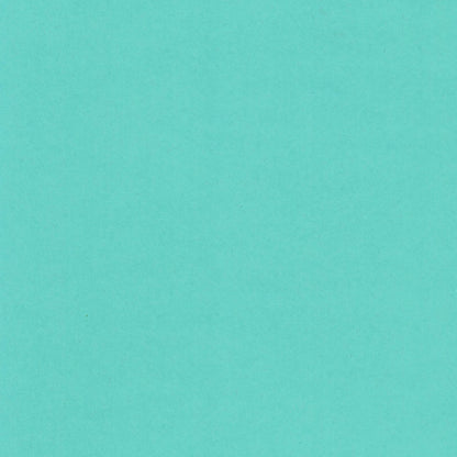 Blu Raspberry-Cardstock Warehouse