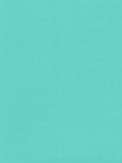 Blu Raspberry-Cardstock Warehouse